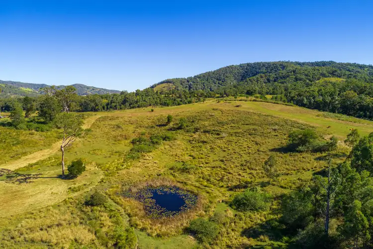 Fourth view of Homely rural property listing, 908 Kandanga Creek Road, Kandanga Creek QLD 4570