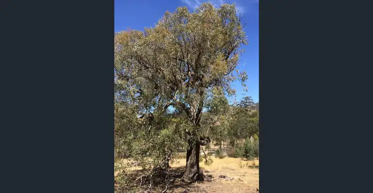 Sixth view of Homely land listing, 800 Telegraph Road, Seymour VIC 3660