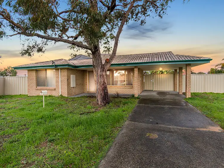 Main view of Homely house listing, 15 Crews Court, Withers WA 6230