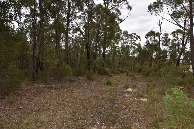Main view of Homely land listing, 20 Gascoigne Street, Willow Vale NSW 2575