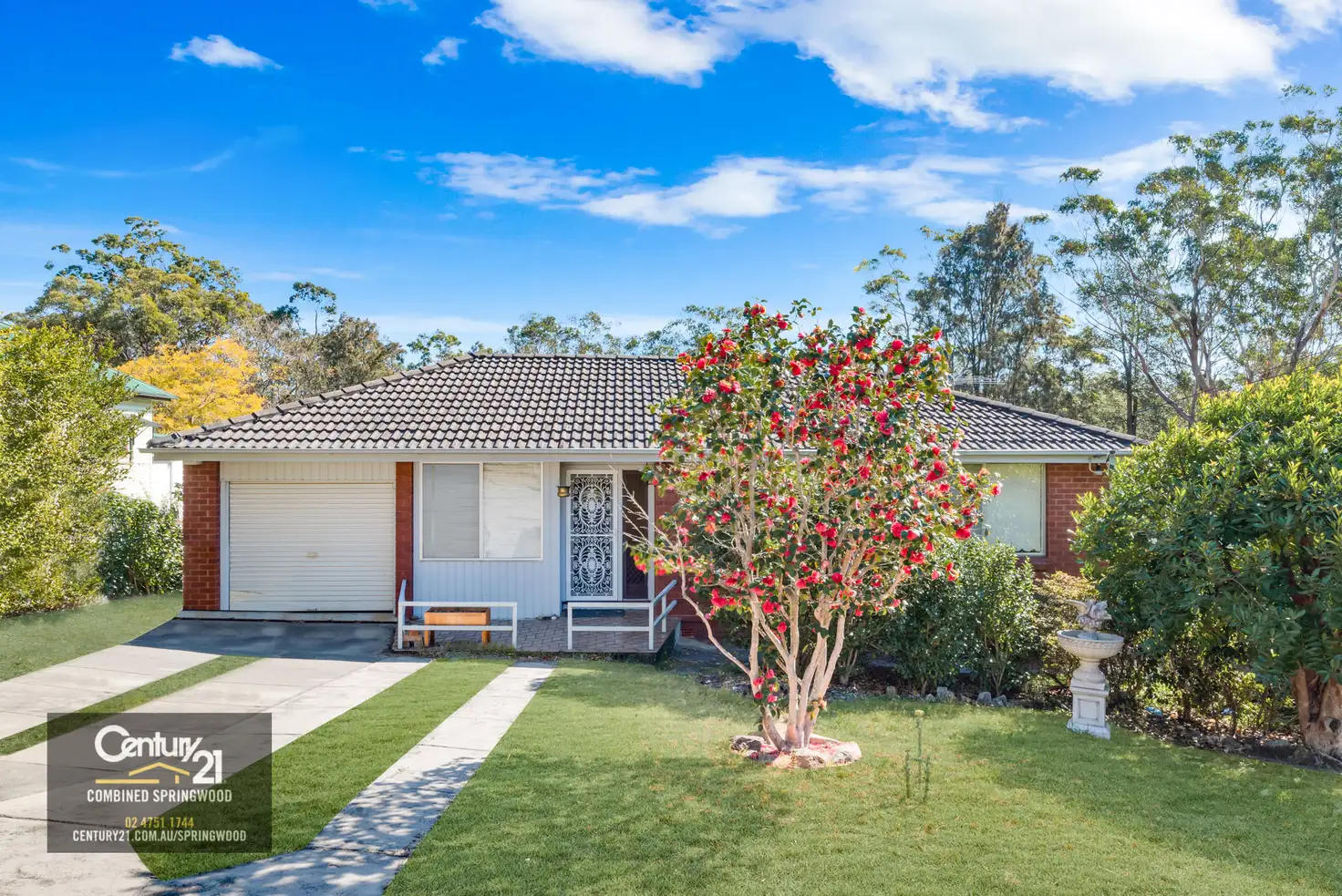 Main view of Homely house listing, 3 Fels Ave, Springwood NSW 2777
