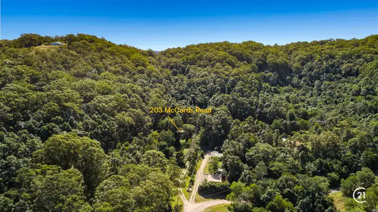 Fourth view of Homely house listing, 203 McCords Road, Yandina Creek QLD 4561