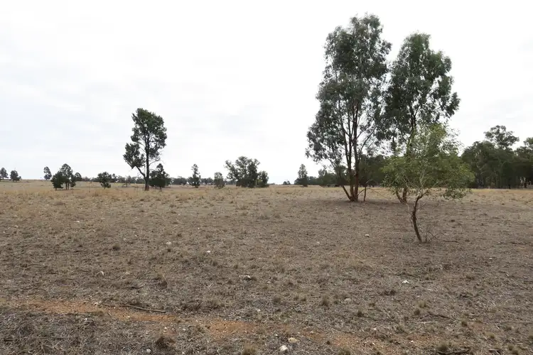 Second view of Homely rural property listing, Lot 152 Cooks Hill Lane, Alectown NSW 2870