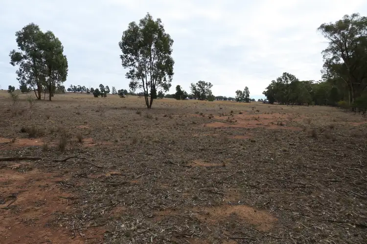 Fourth view of Homely rural property listing, Lot 152 Cooks Hill Lane, Alectown NSW 2870