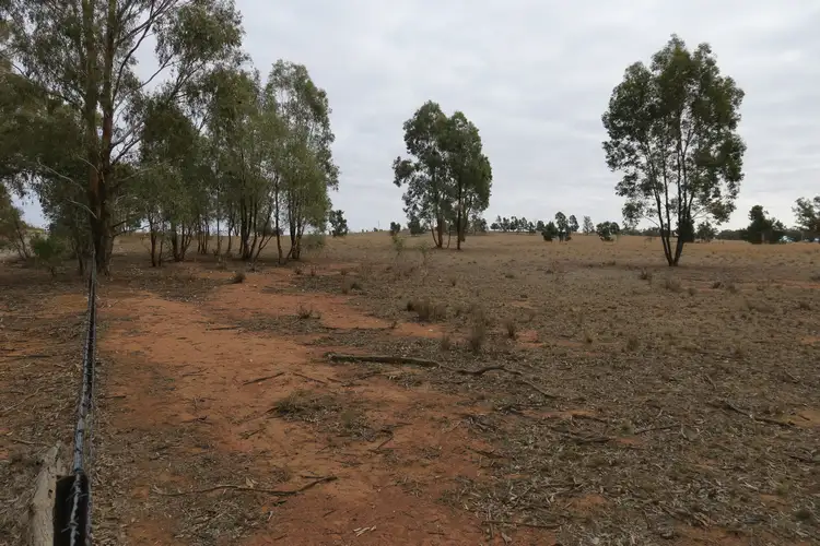 Fifth view of Homely rural property listing, Lot 152 Cooks Hill Lane, Alectown NSW 2870