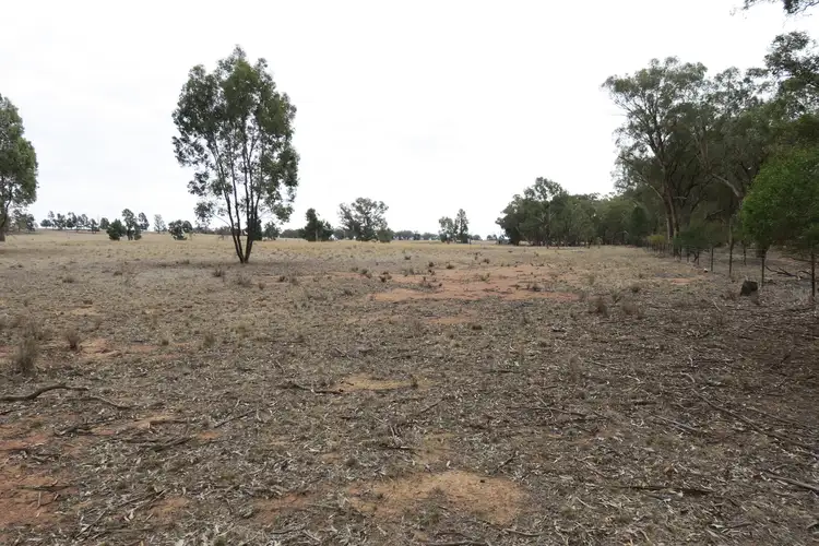 Sixth view of Homely rural property listing, Lot 152 Cooks Hill Lane, Alectown NSW 2870