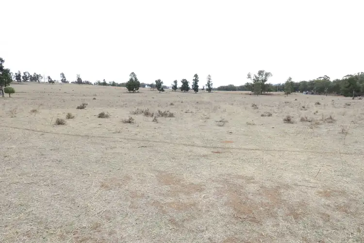 Seventh view of Homely rural property listing, Lot 152 Cooks Hill Lane, Alectown NSW 2870