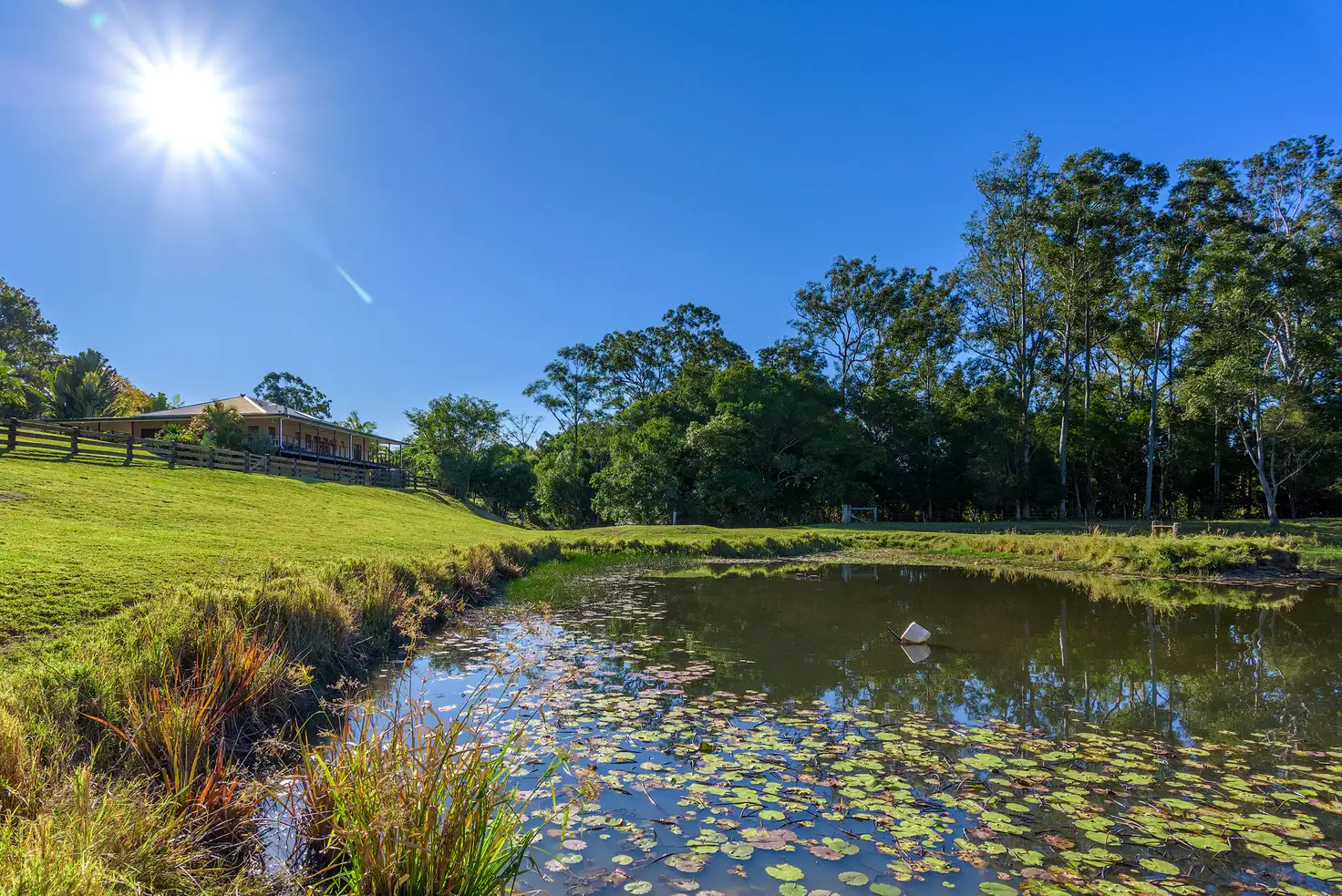 Main view of Homely rural property listing, 371 Neusavale Road, Neusa Vale QLD 4570