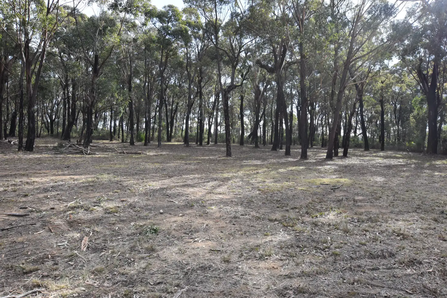 Main view of Homely land listing, Lot 35 6D Drapers Road, Willow Vale NSW 2575