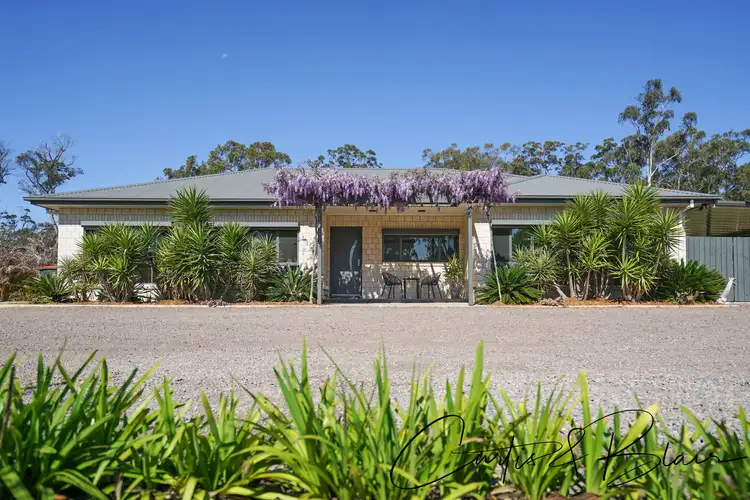 Fifth view of Homely house listing, 64 Sassin Crescent, Medowie NSW 2318