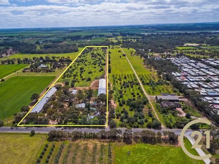 Main view of Homely rural property listing, 66 Hillier Road, Hillier SA 5116