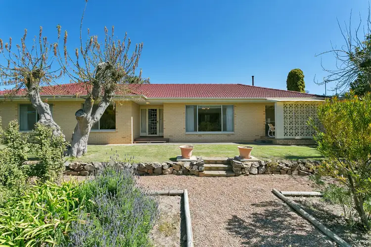 262 Long Gully Road, Angaston SA 5353