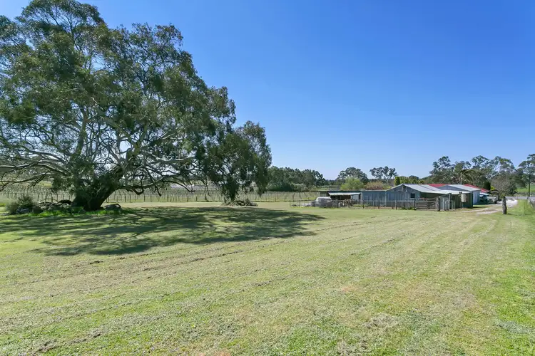 Third view of Homely house listing, 262 Long Gully Road, Angaston SA 5353