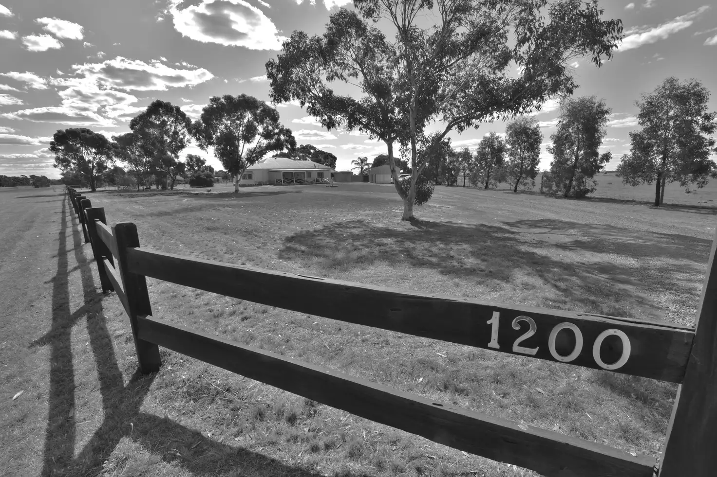 Main view of Homely rural property listing, 1200 Mount Terrick Road, Echuca VIC 3564