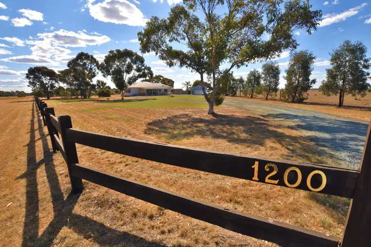 Second view of Homely rural property listing, 1200 Mount Terrick Road, Echuca VIC 3564