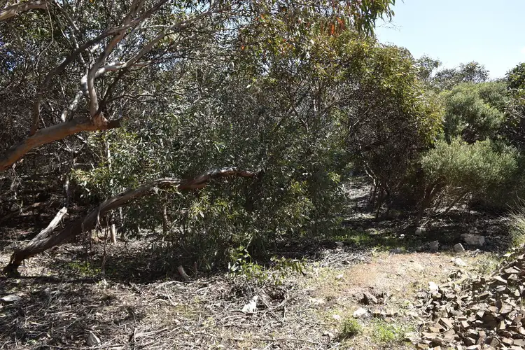 Seventh view of Homely land listing, 22 Dolphin Crescent, Vivonne Bay SA 5223