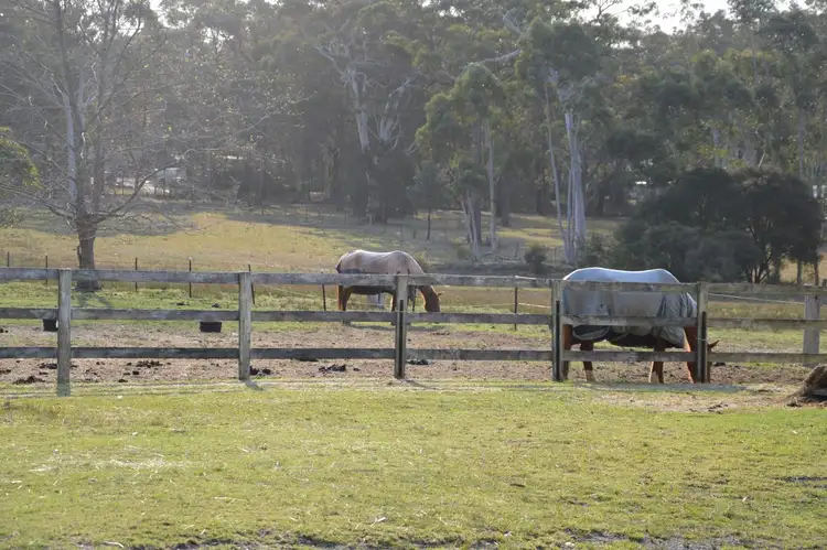 Second view of Homely house listing, 41 Mortimer Road, Falls Creek NSW 2540