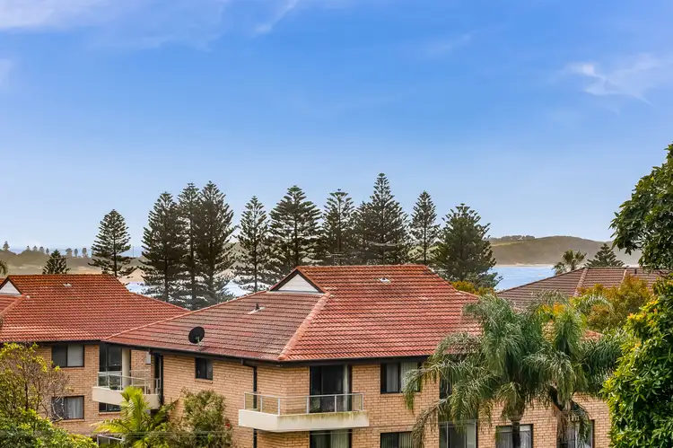 8/28 Cassia Street, Dee Why NSW 2099