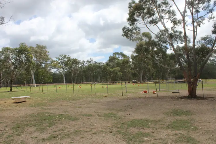 Seventh view of Homely house listing, 41 Flatrock Road, Mundamia NSW 2540