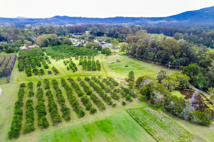 Third view of Homely house listing, 64 Alfs Pinch Road, Beerwah QLD 4519