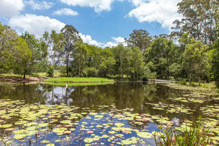 Fourth view of Homely house listing, 64 Alfs Pinch Road, Beerwah QLD 4519