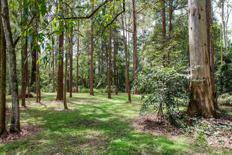 Fifth view of Homely house listing, 64 Alfs Pinch Road, Beerwah QLD 4519