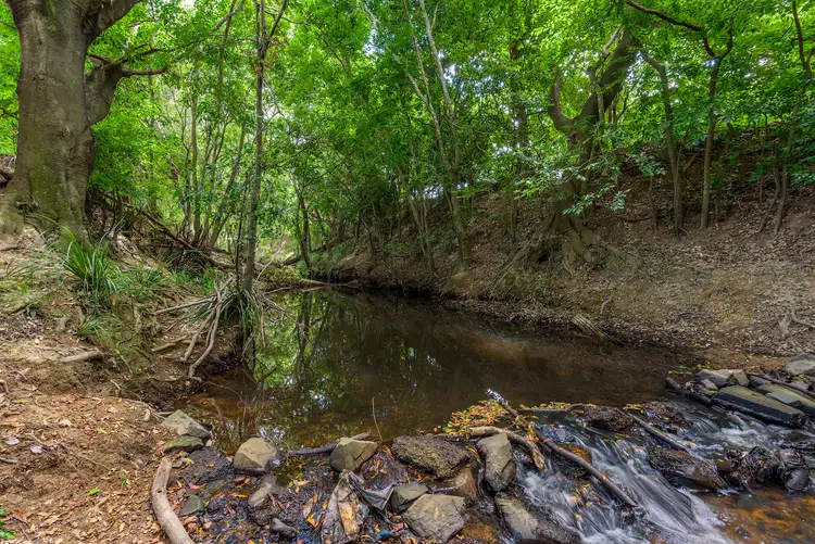 Fifth view of Homely rural property listing, 38 Wattle Lane, North Deep Creek QLD 4570