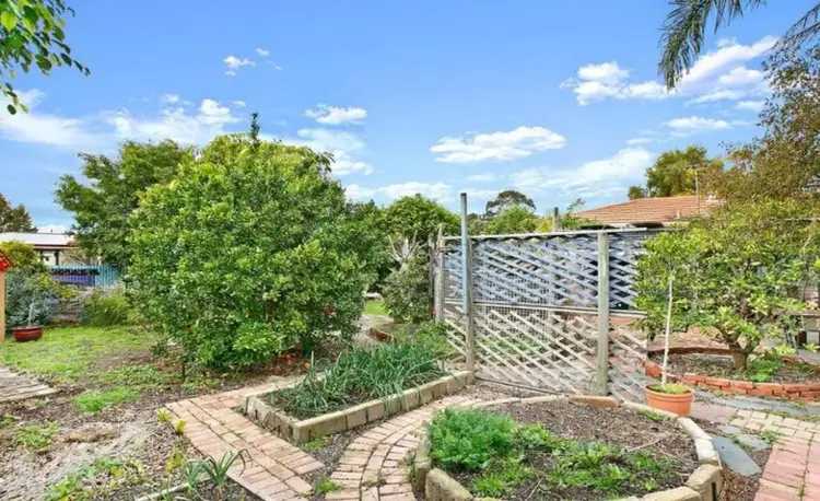 Second view of Homely house listing, 49 Limbert Avenue, Seacombe Gardens SA 5047