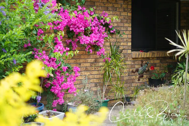 Fifth view of Homely house listing, 8 Cole Close, Medowie NSW 2318