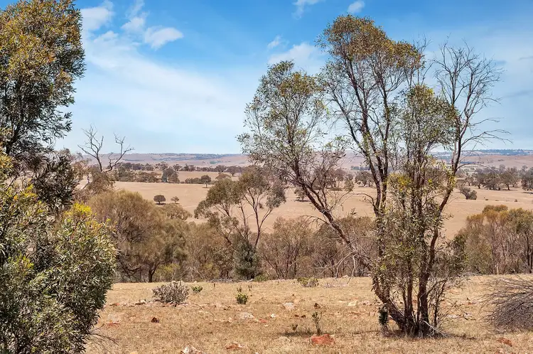 Seventh view of Homely rural property listing, Section 560 Government Road, Keyneton SA 5353