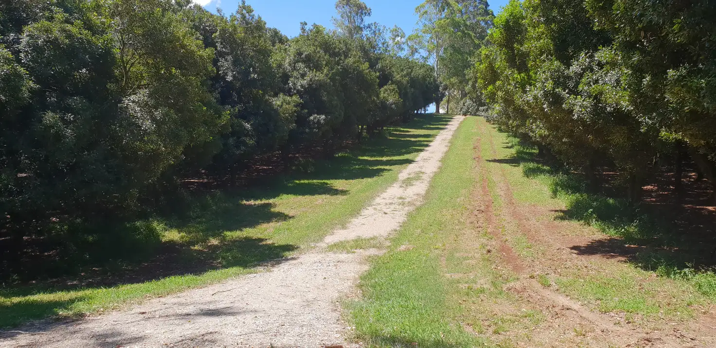 Main view of Homely rural property listing, Address available on request