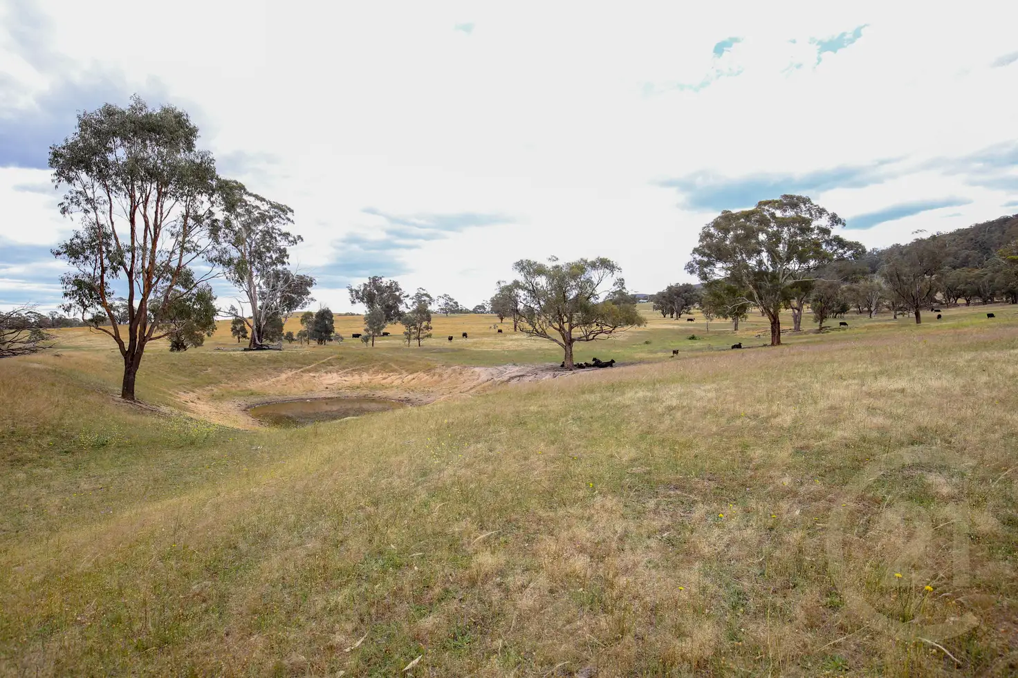 Main view of Homely rural property listing, Address available on request