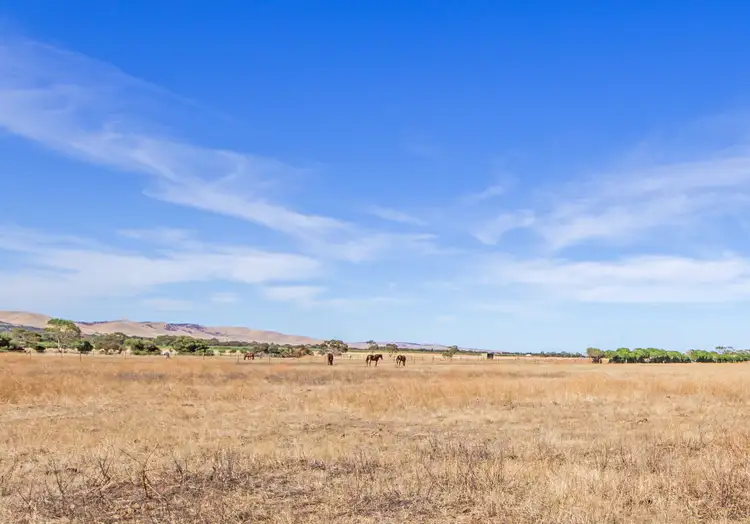 Third view of Homely rural property listing, 272 Plains Road, Sellicks Hill SA 5174
