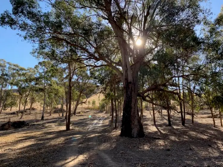 Fifth view of Homely rural property listing, 820 Telegraph Road, Seymour VIC 3660