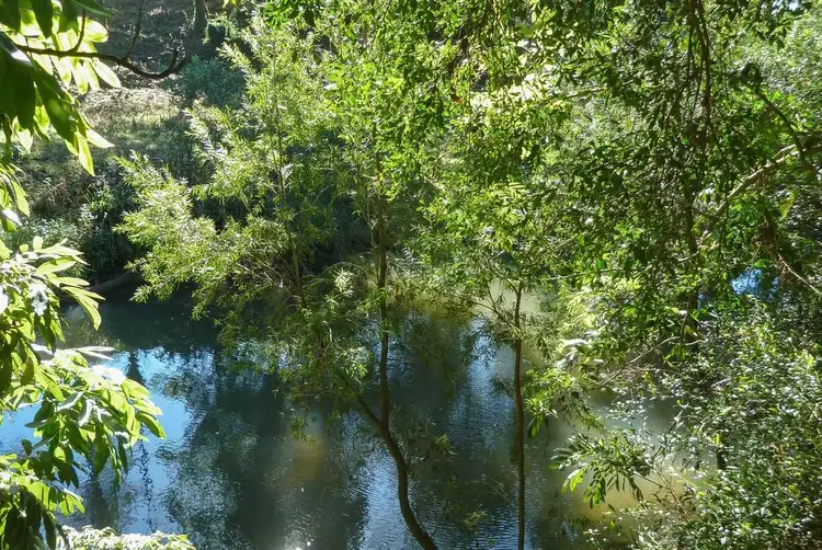 Fourth view of Homely rural property listing, 650 Cawongla Road, Larnook NSW 2480