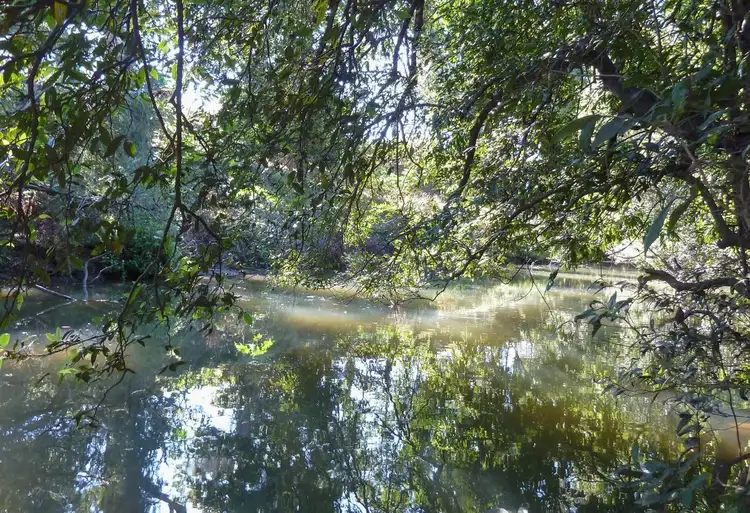 Fifth view of Homely rural property listing, 650 Cawongla Road, Larnook NSW 2480