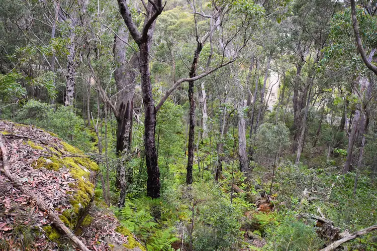 Fifth view of Homely land listing, 7 Acacia Street, Colo Vale NSW 2575