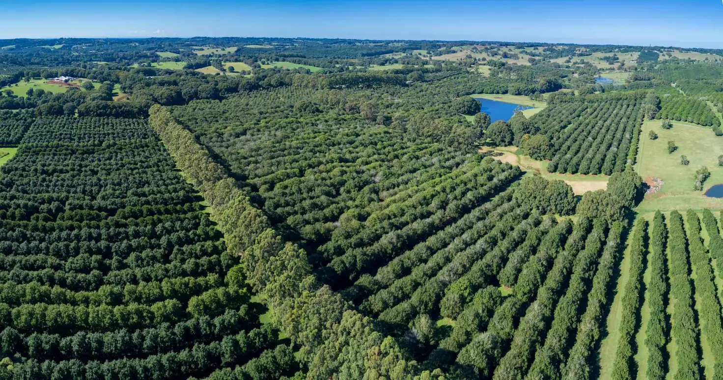 Main view of Homely rural property listing, Address available on request