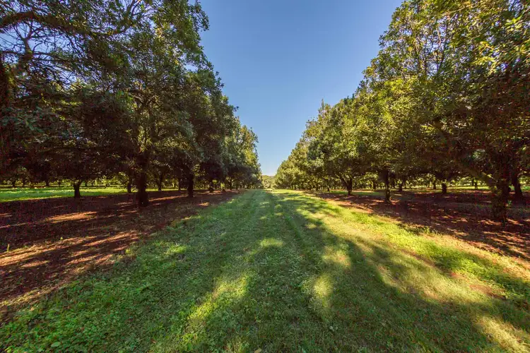 Second view of Homely rural property listing, Address available on request