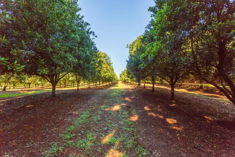 Third view of Homely rural property listing, Address available on request