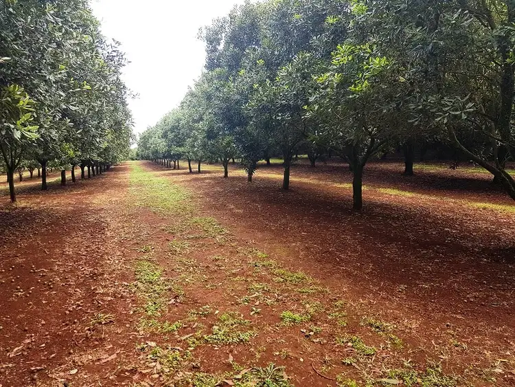 Fifth view of Homely rural property listing, Address available on request