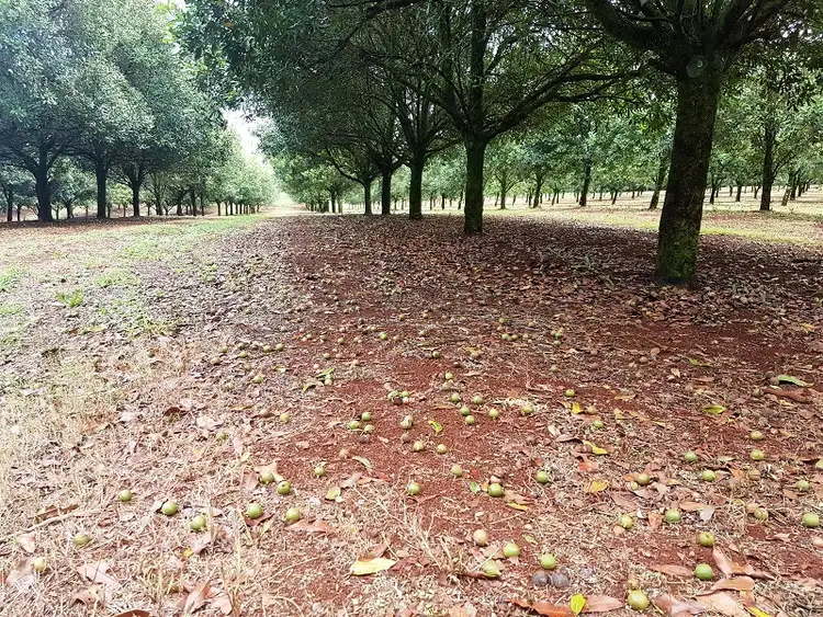 Sixth view of Homely rural property listing, Address available on request