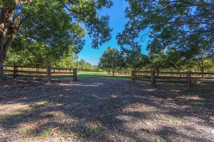 Seventh view of Homely rural property listing, Address available on request