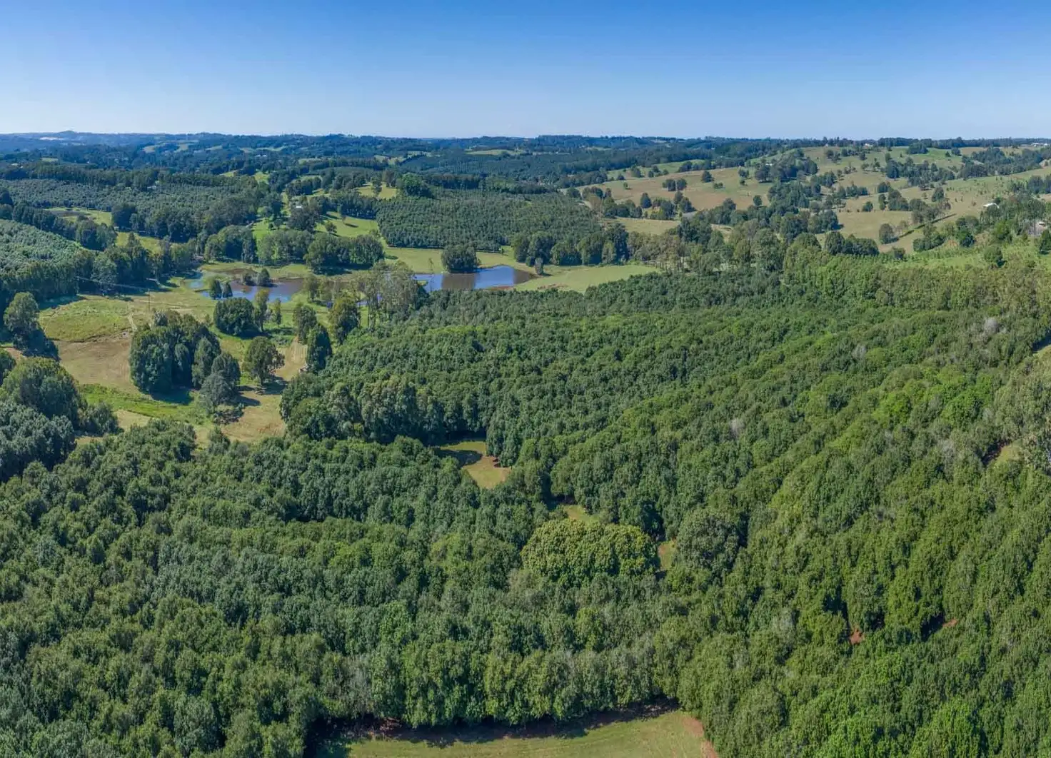 Main view of Homely rural property listing, Address available on request