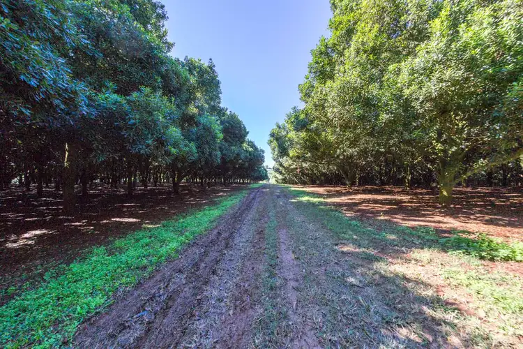 Third view of Homely rural property listing, Address available on request