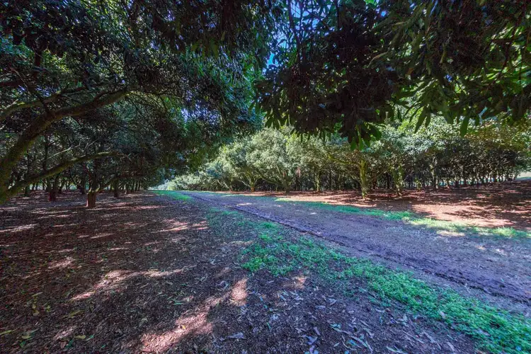 Sixth view of Homely rural property listing, Address available on request