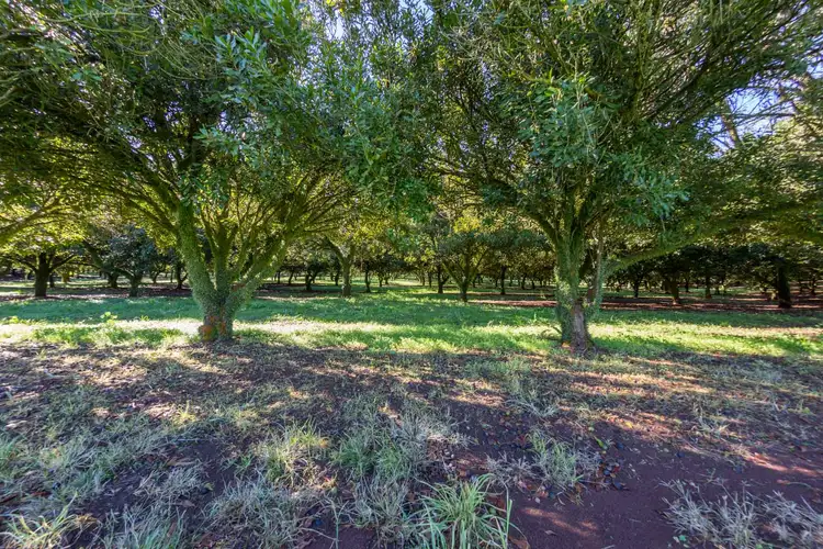 Fourth view of Homely rural property listing, Address available on request