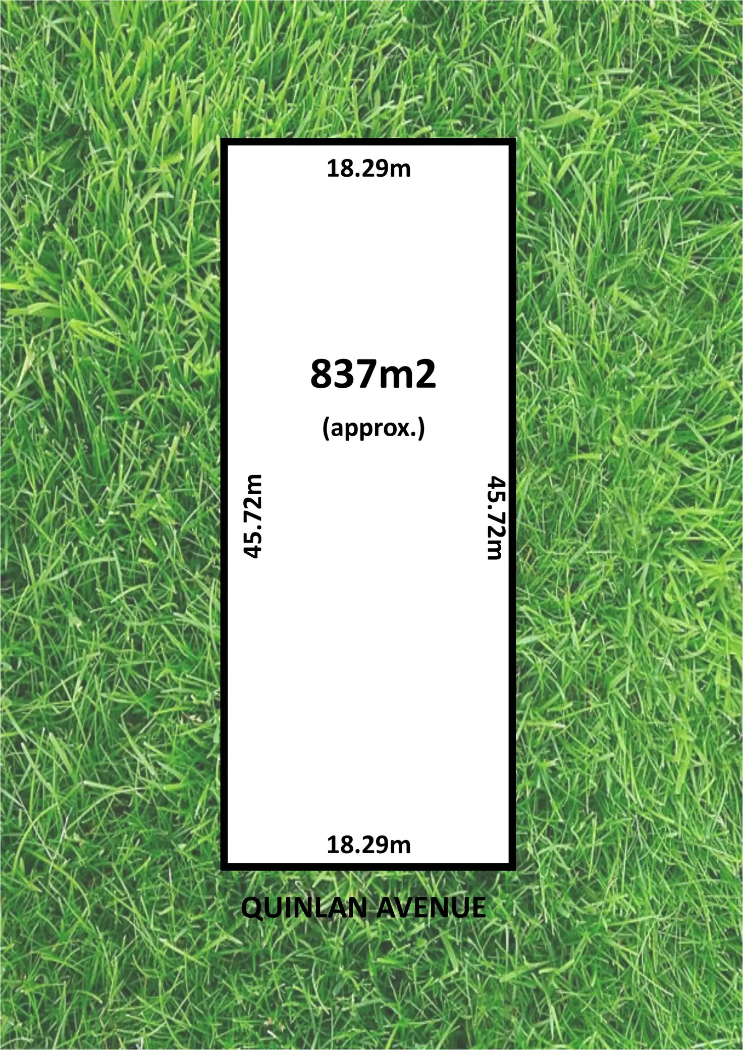 Main view of Homely house listing, 56 Quinlan Avenue, St Marys SA 5042