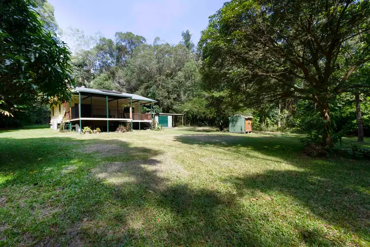 Main view of Homely house listing, 3 Forest Creek Road, Daintree QLD 4873