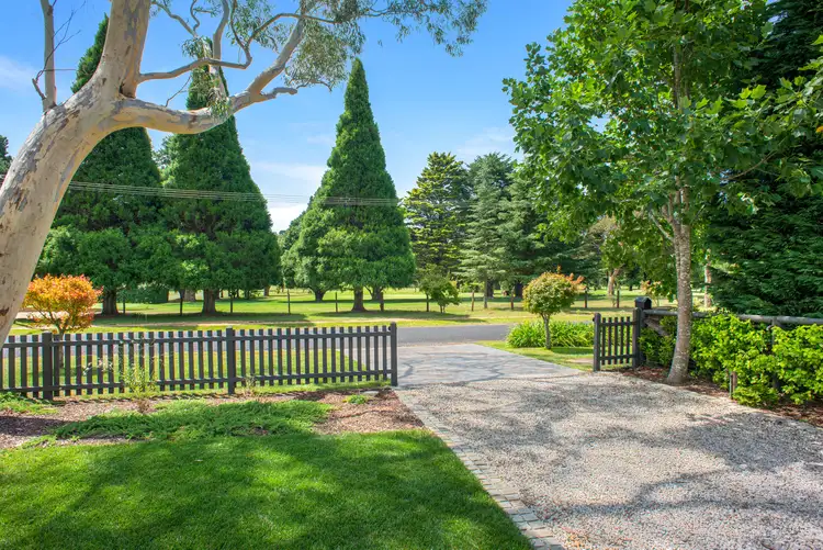 Third view of Homely house listing, 49 Toulon Avenue, Wentworth Falls NSW 2782